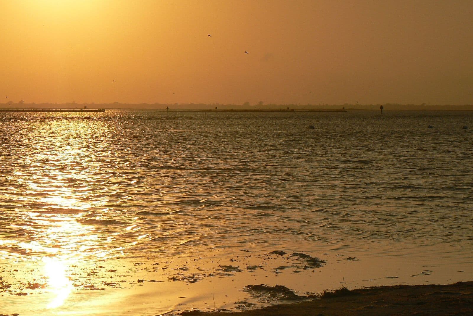 Golden evening light over the shallow flats of the Laguna Madre